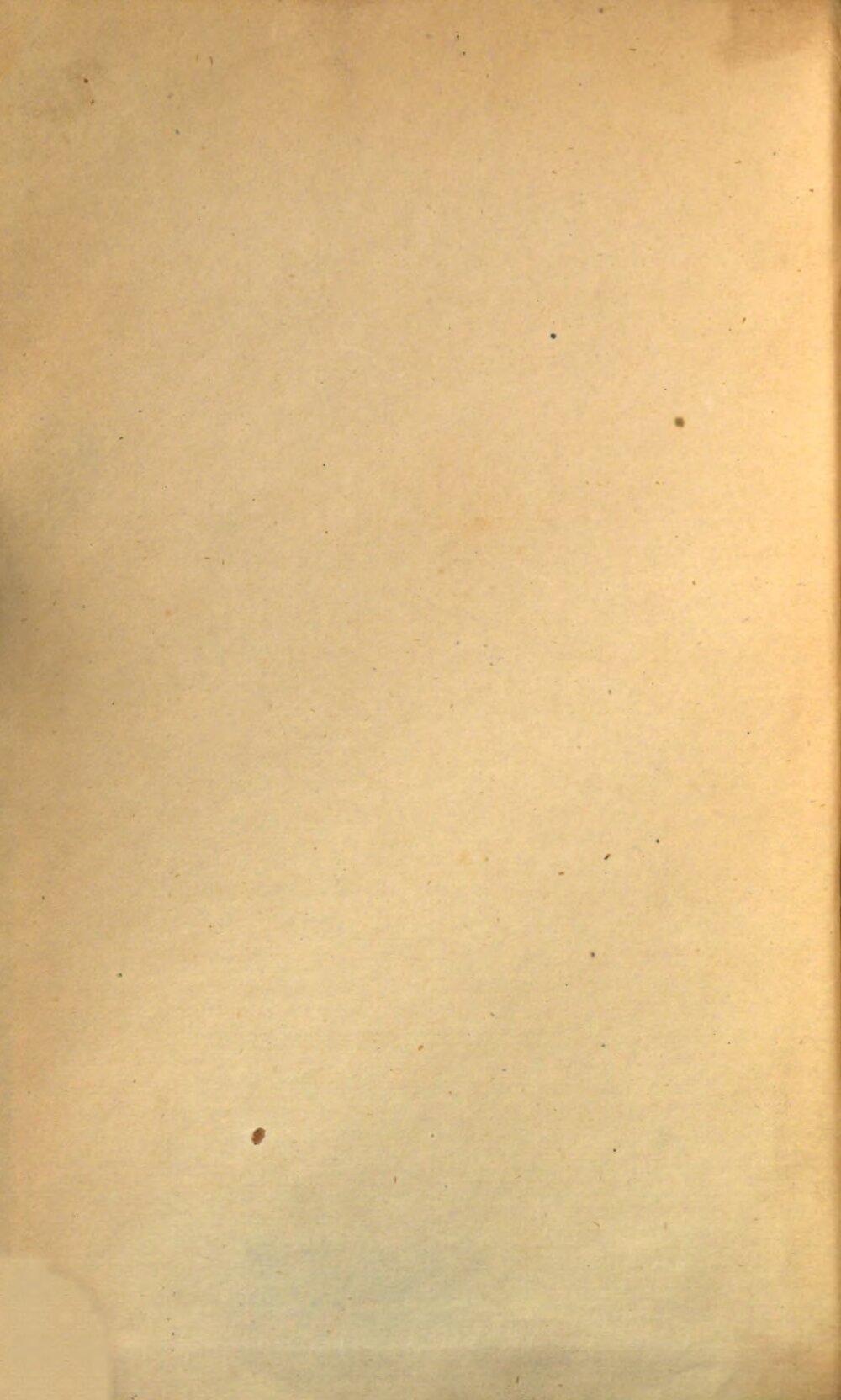 Image 00004