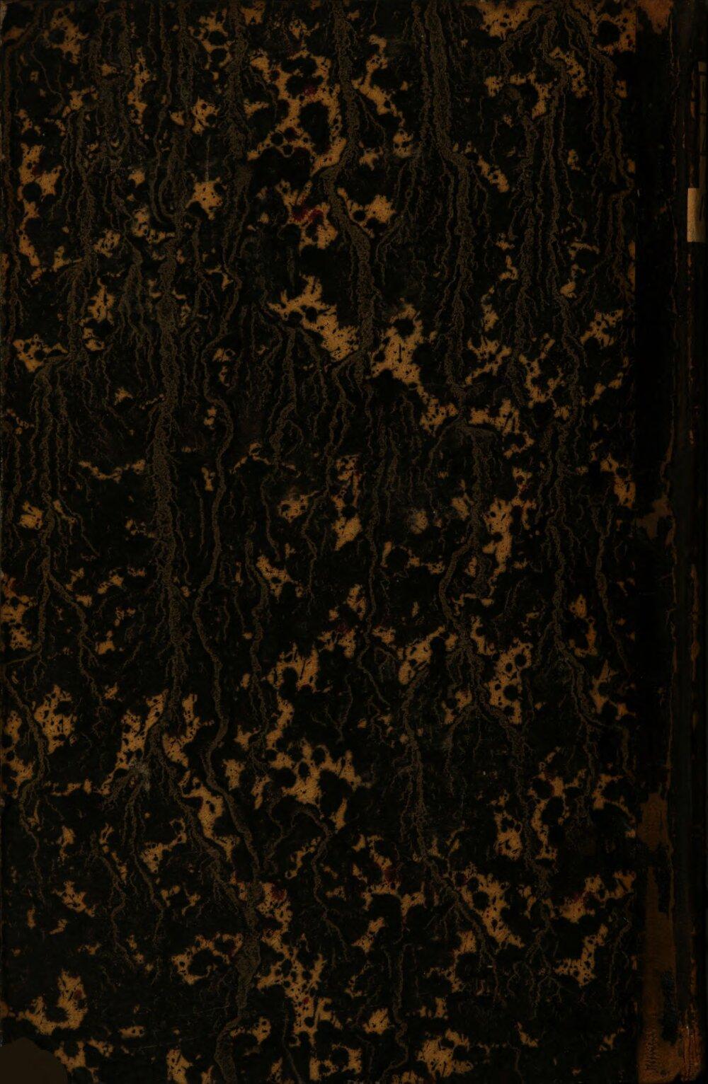 Image 00276