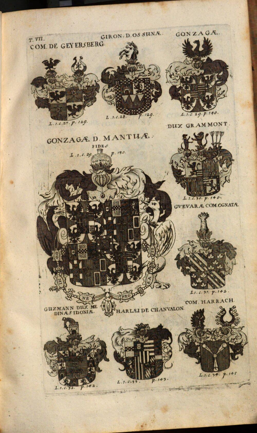 Image 00037