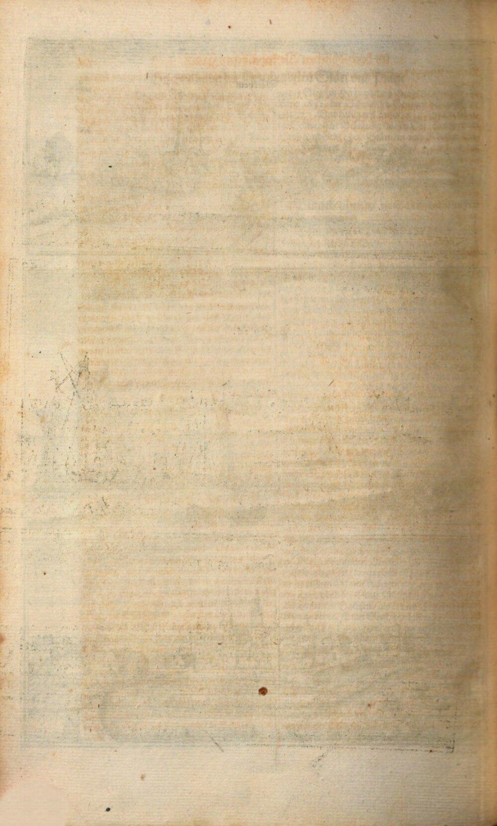 Image 00216