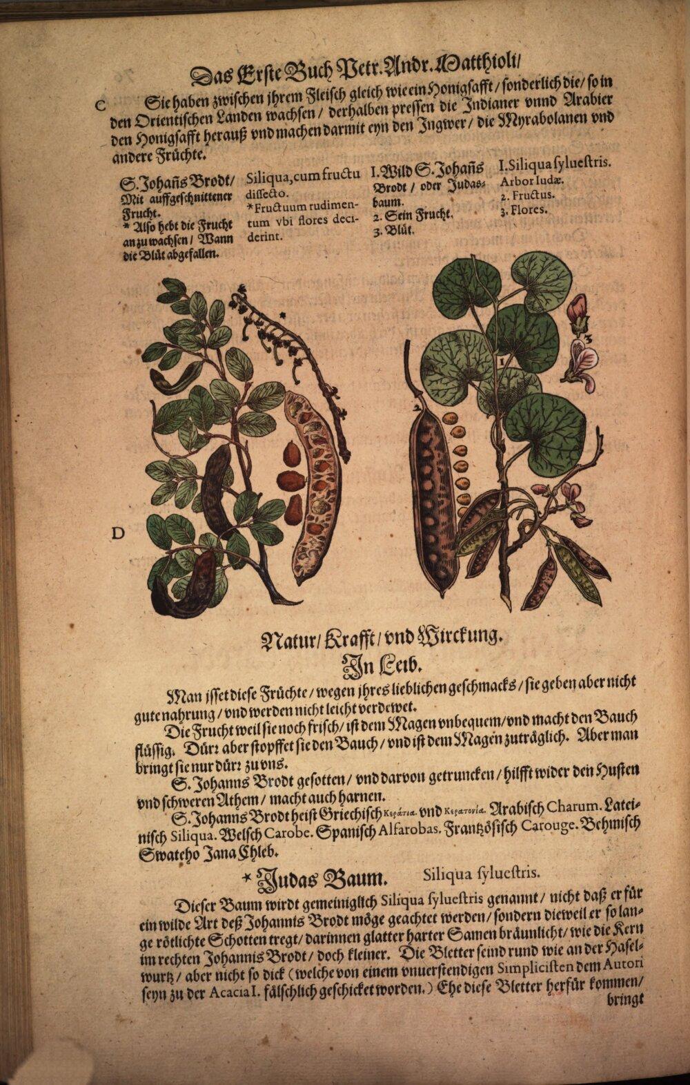 Image 00174