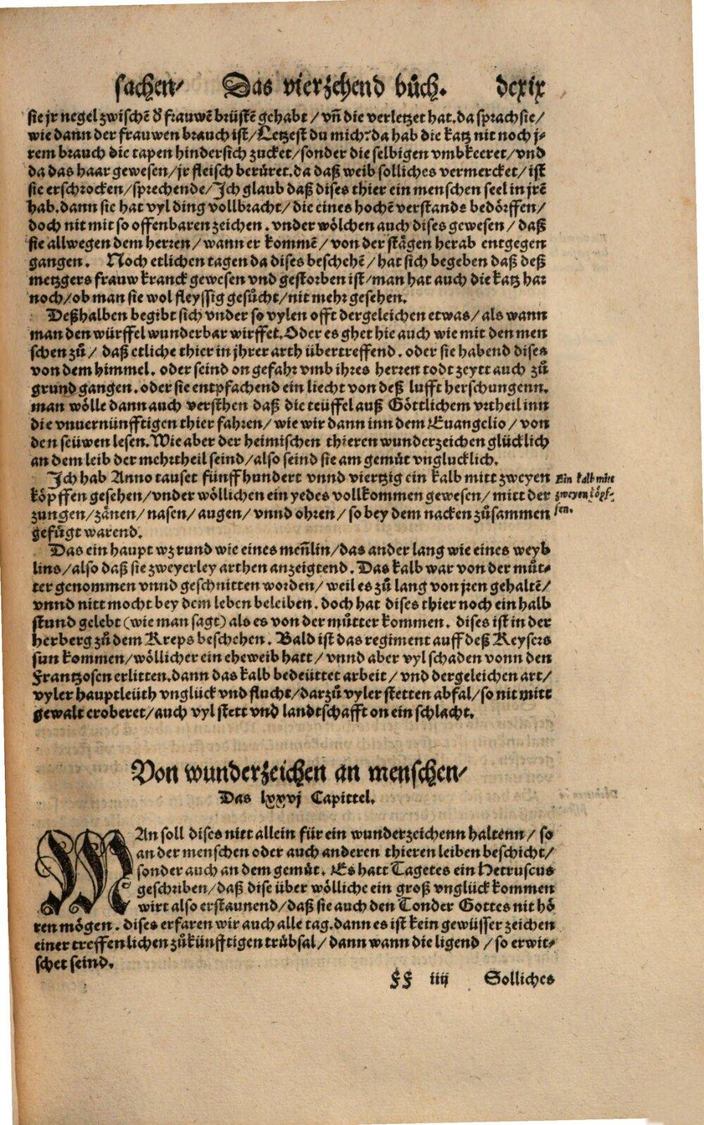 Image 00673