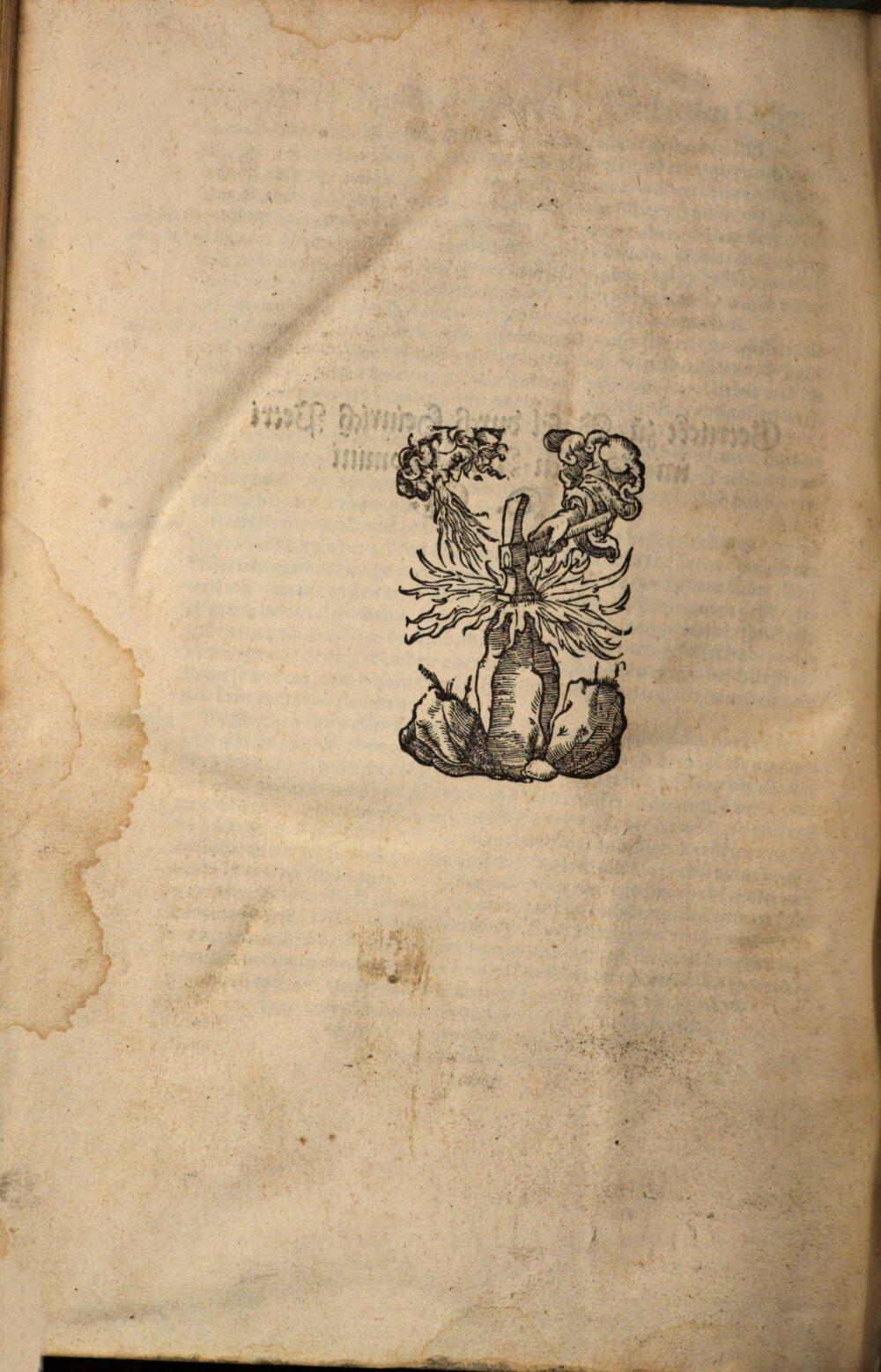 Image 00990