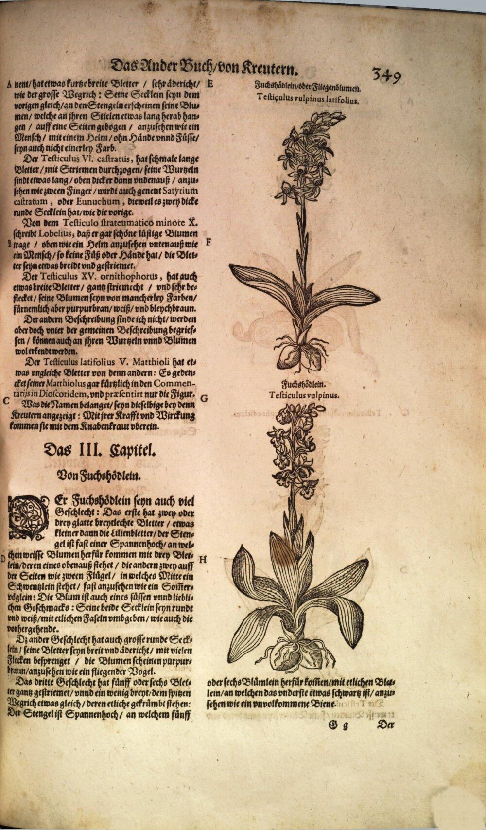 Image 00365