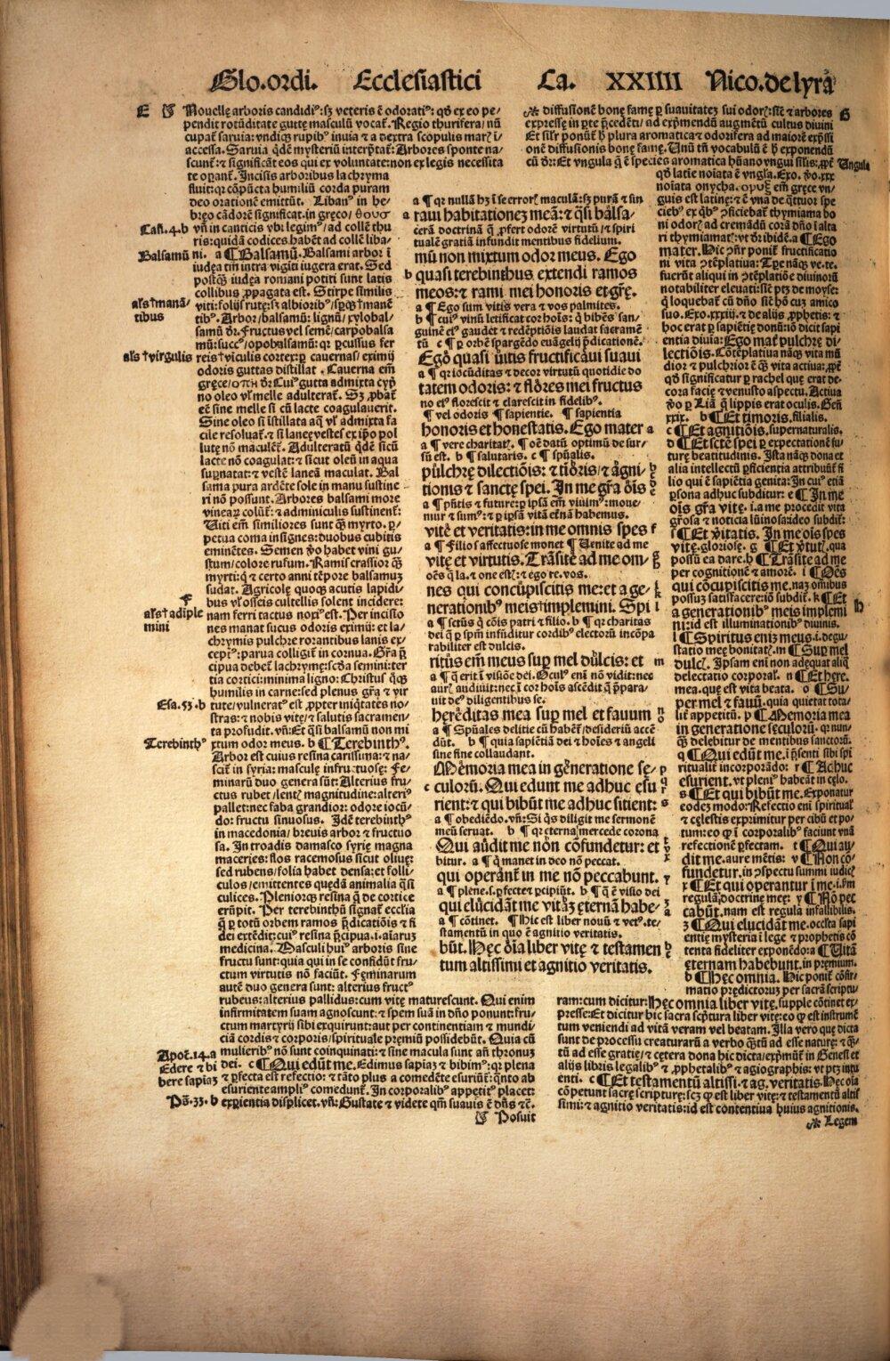 Image 00830