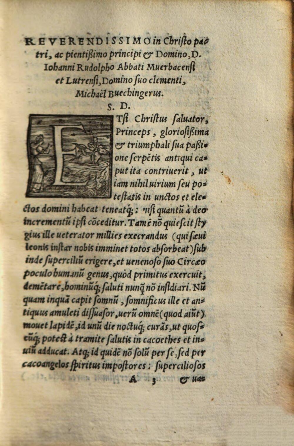 Image 00005