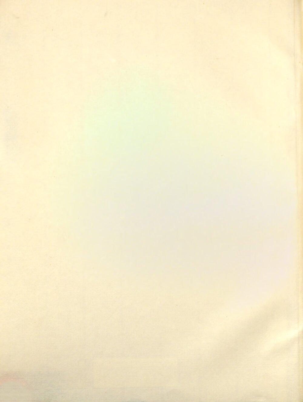 Image 00004