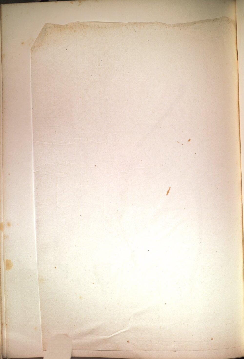 Image 00366