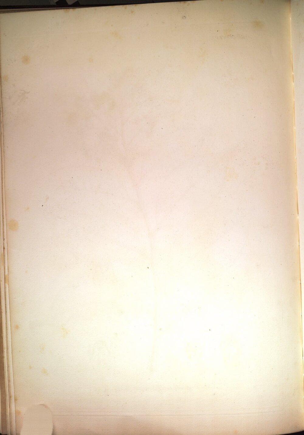 Image 00368