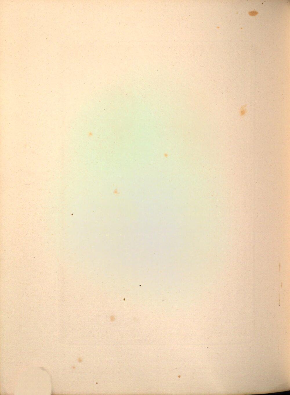 Image 00036