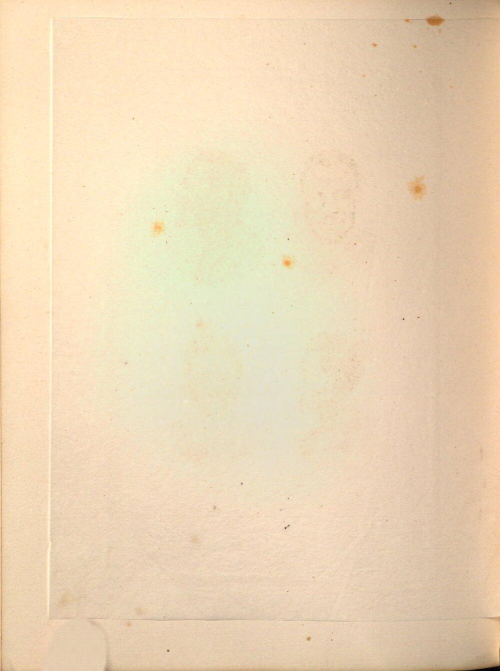 Image 00038