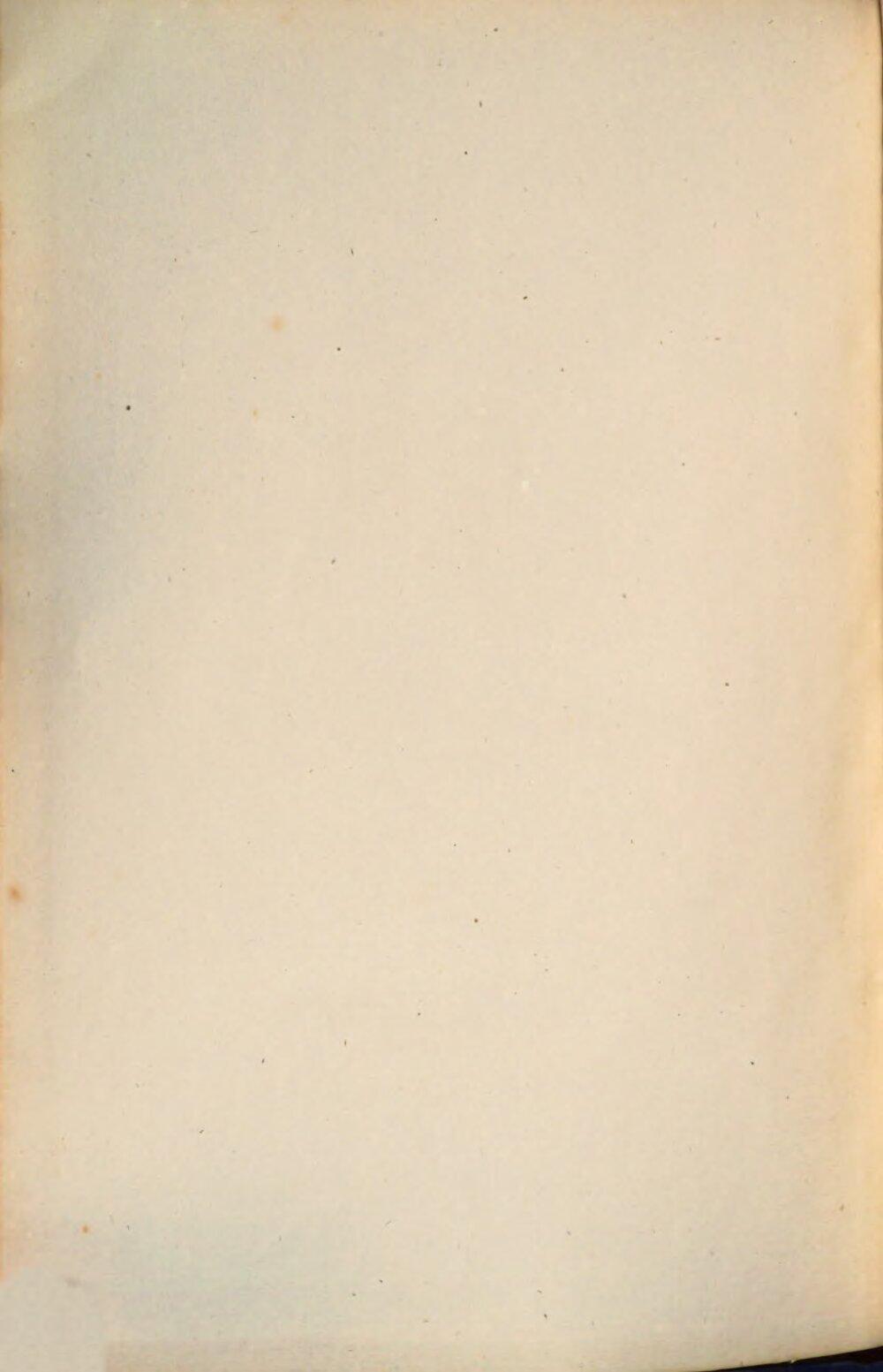 Image 00004