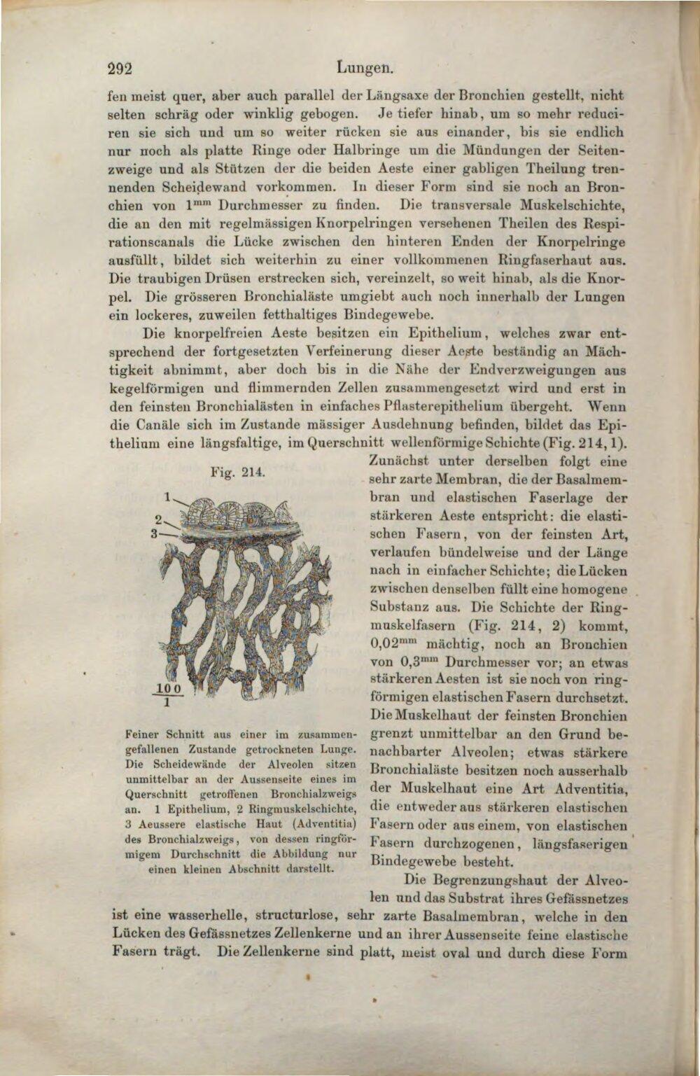 Image 00320