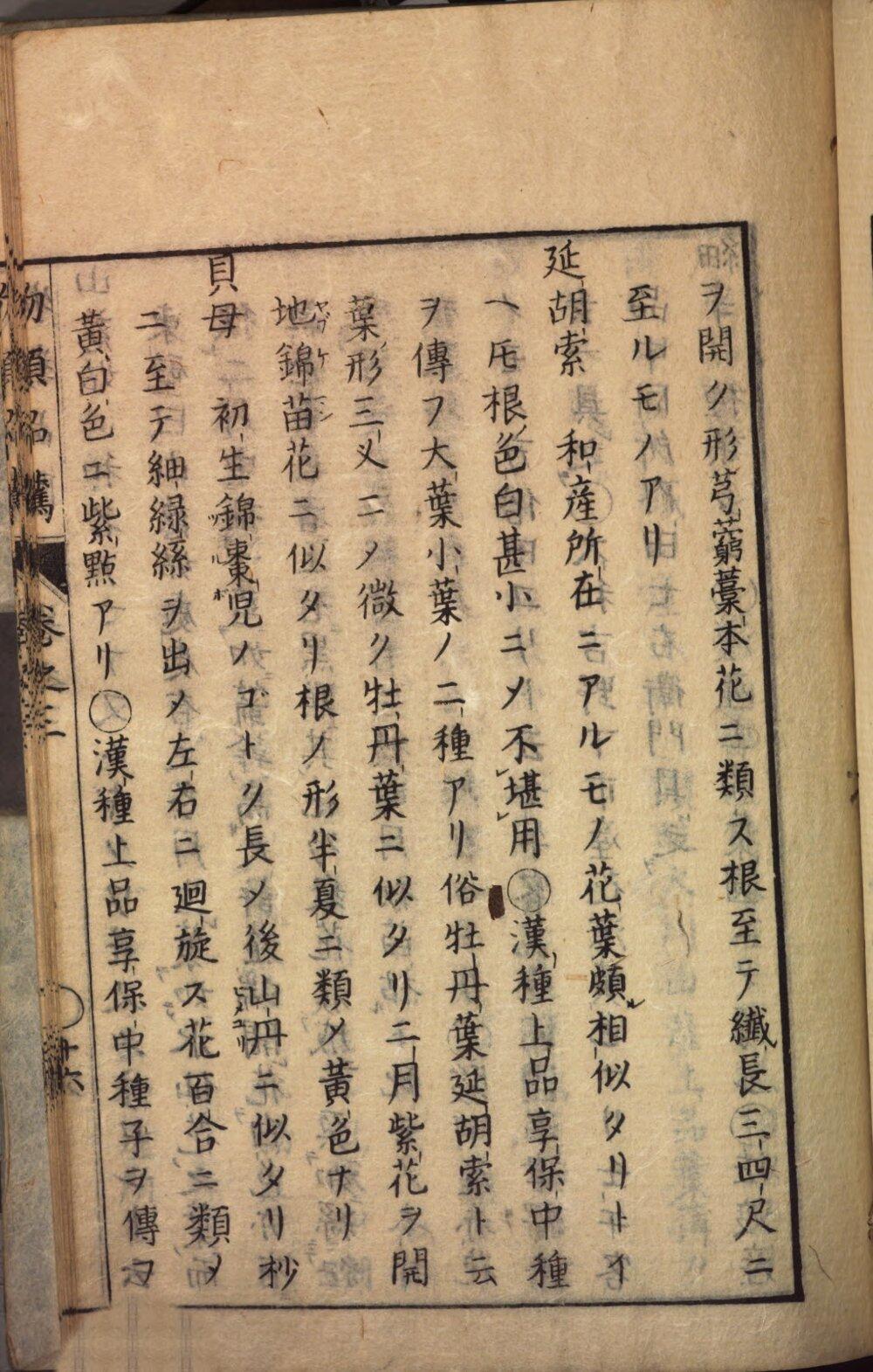 Image 00258