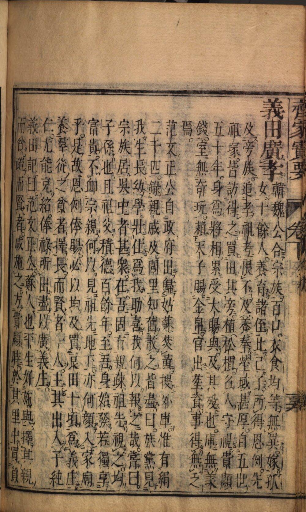 Image 00005