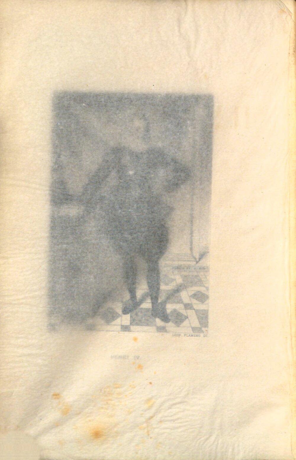 Image 00012