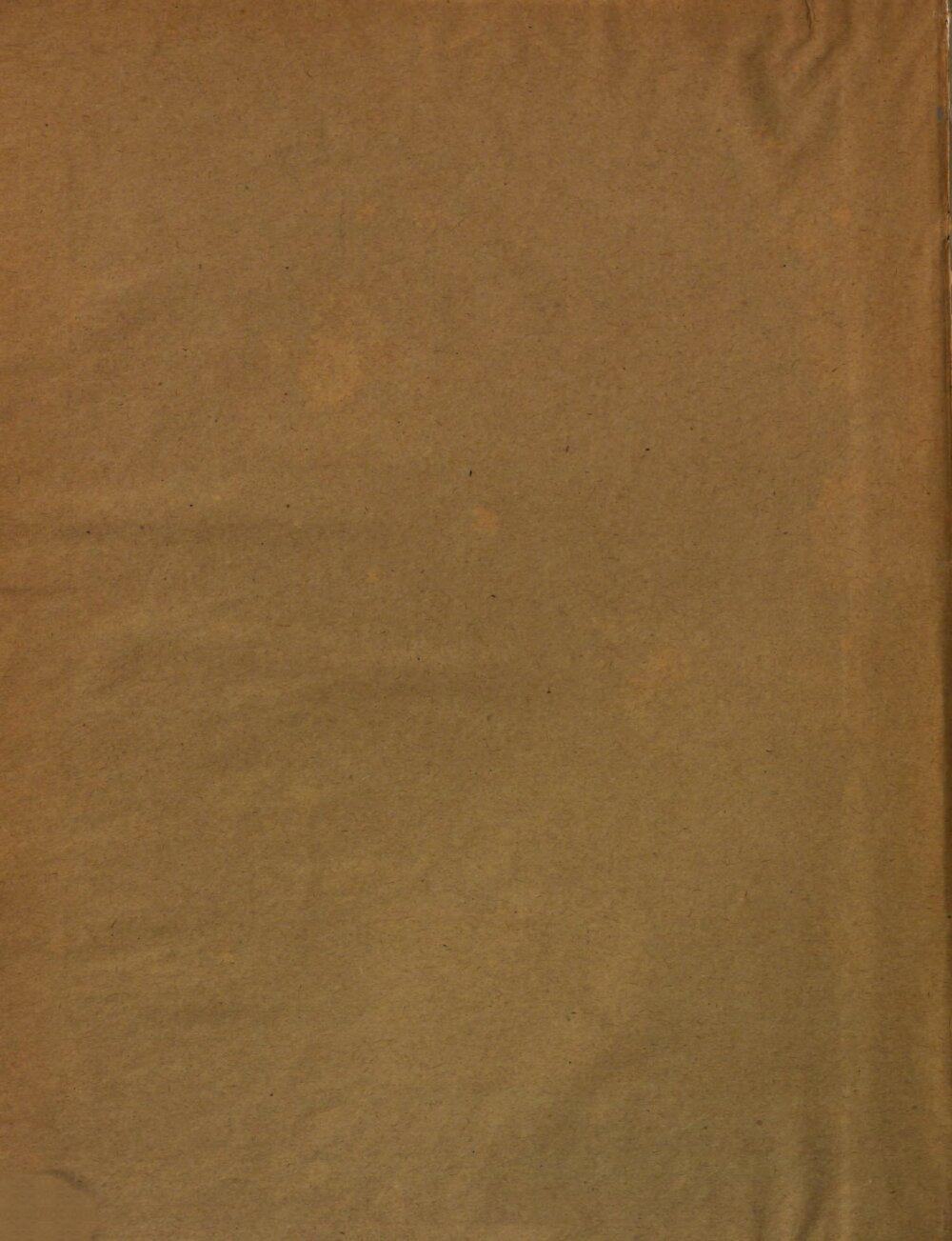 Image 00004
