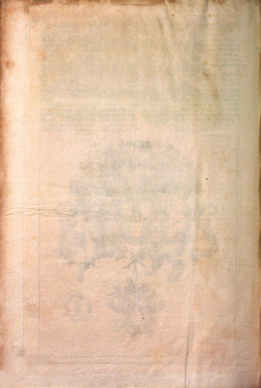 Image 00320