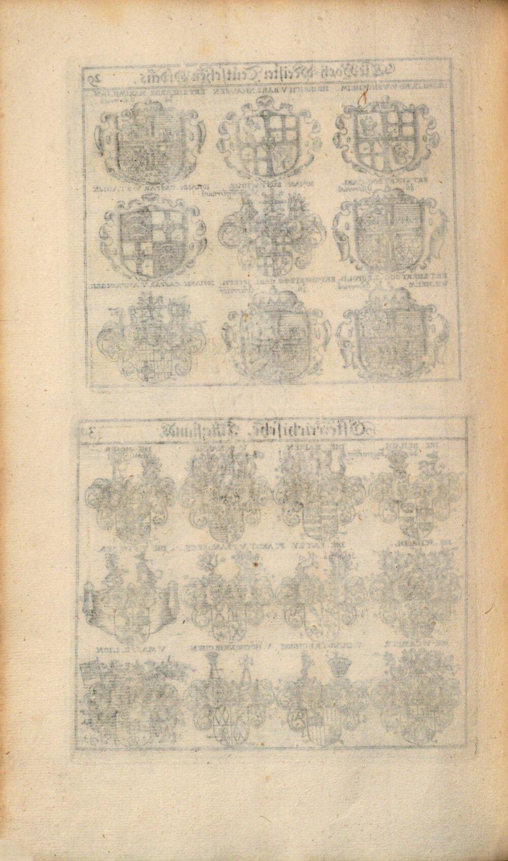 Image 00036