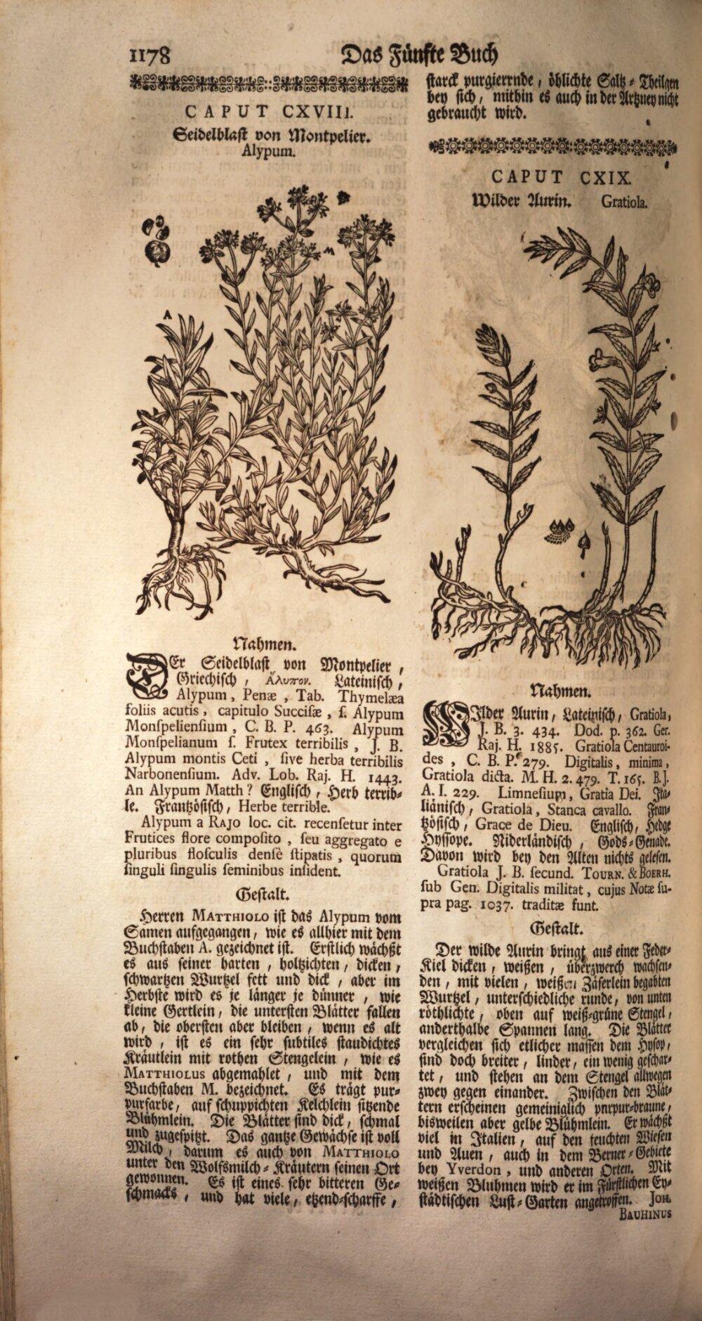 Image 01200