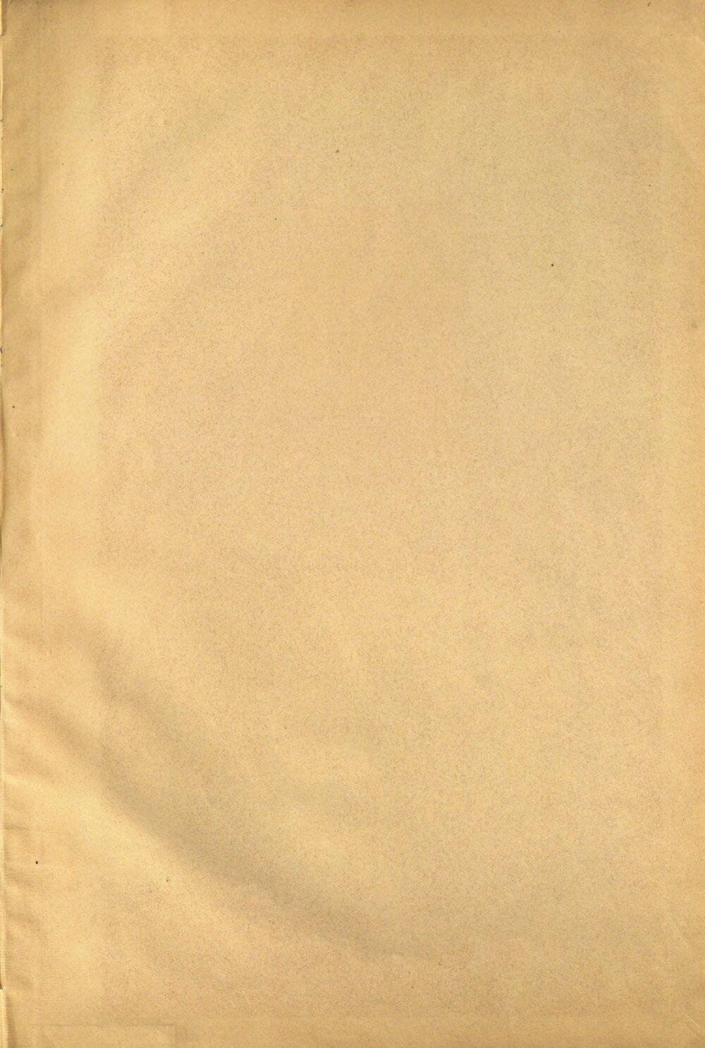Image 00003