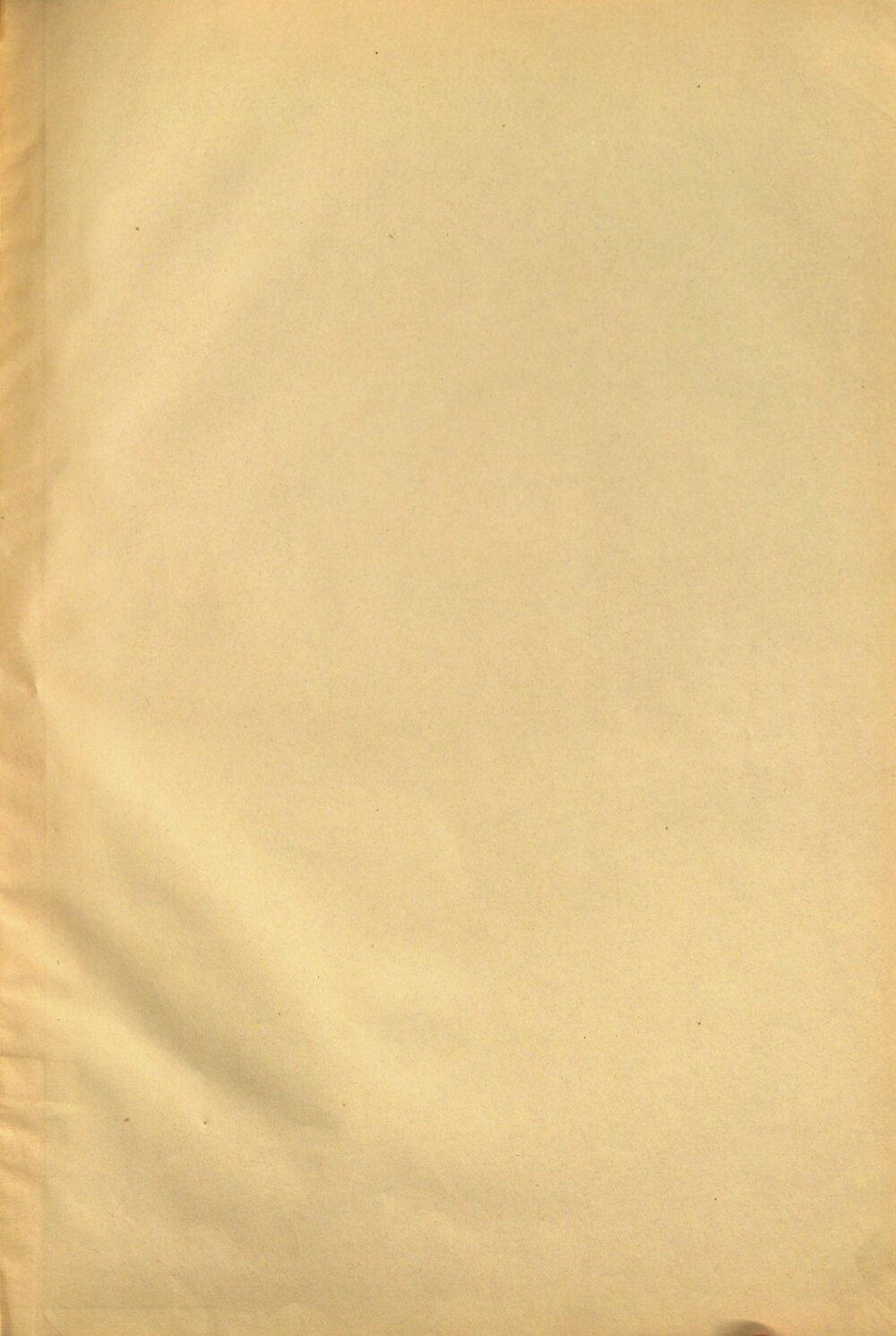 Image 00005