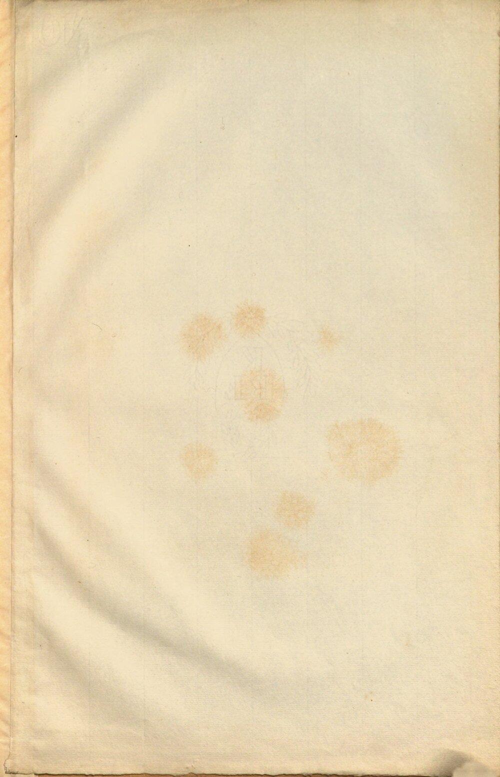 Image 00031