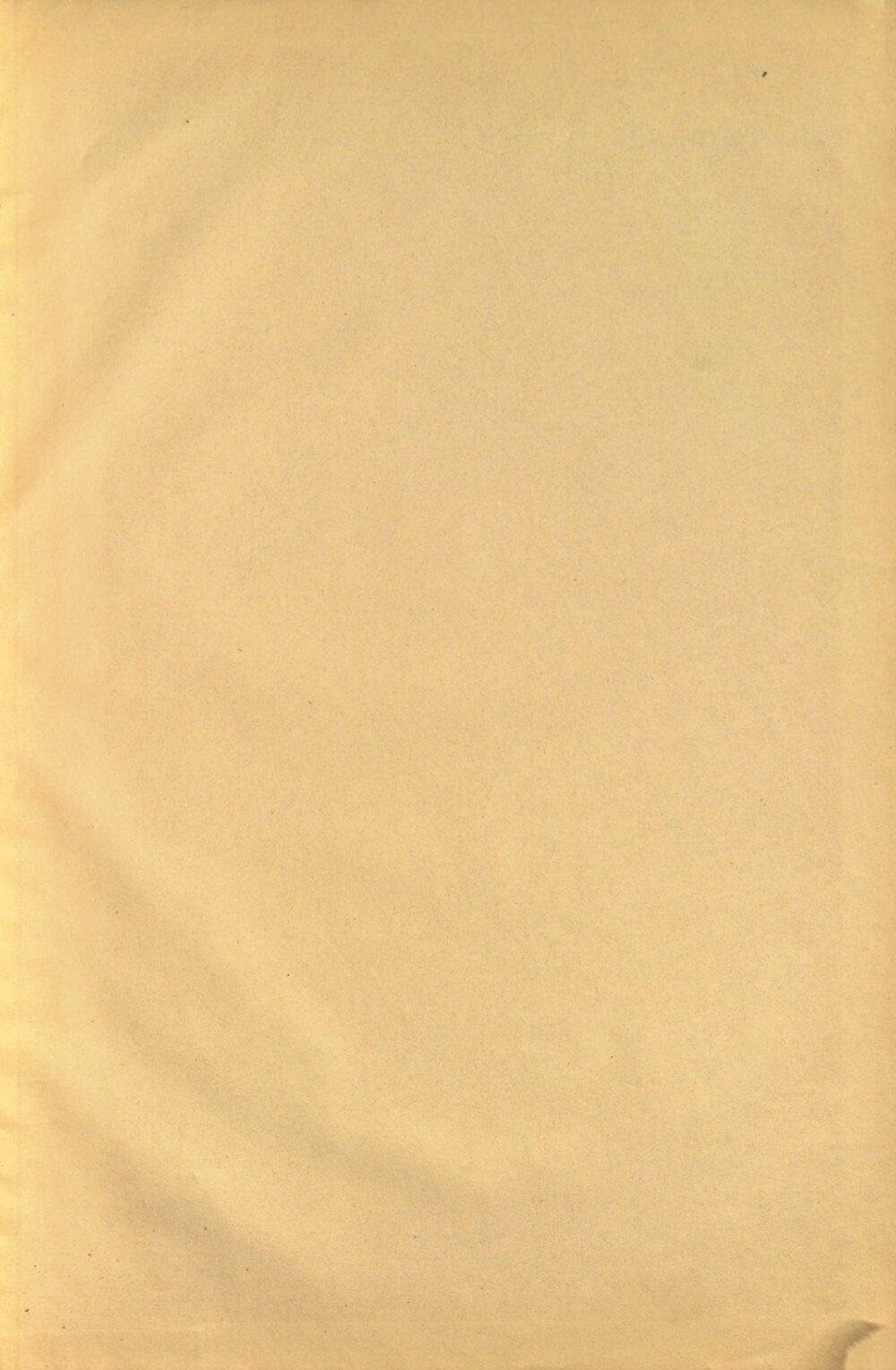 Image 00037