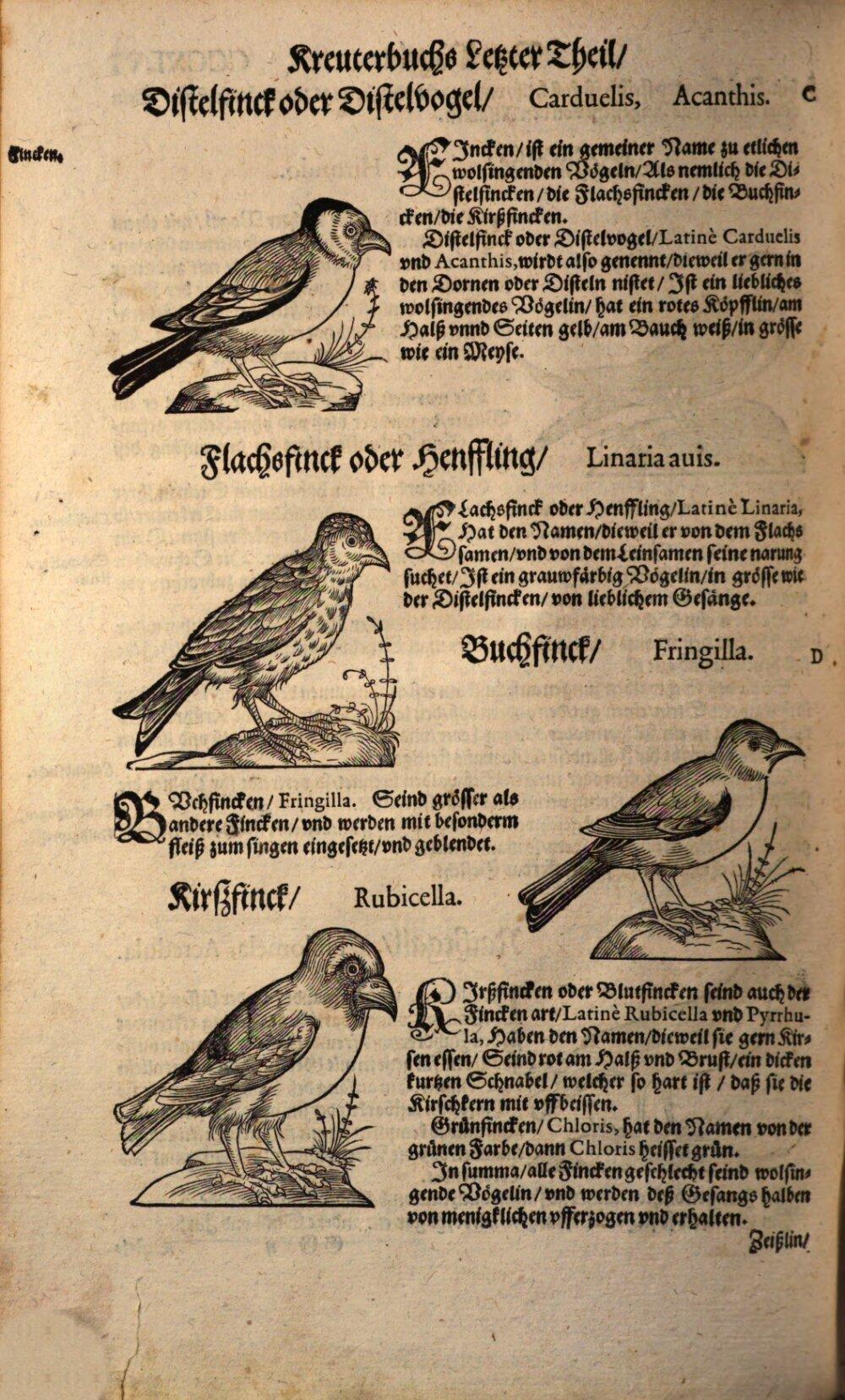 Image 00720