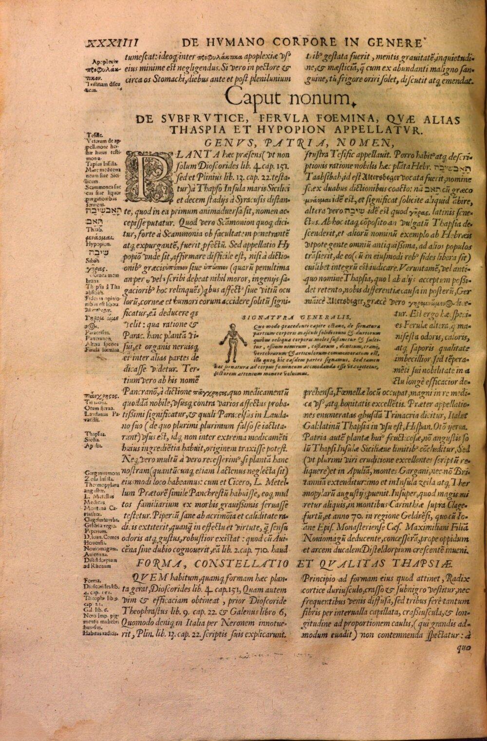 Image 00050