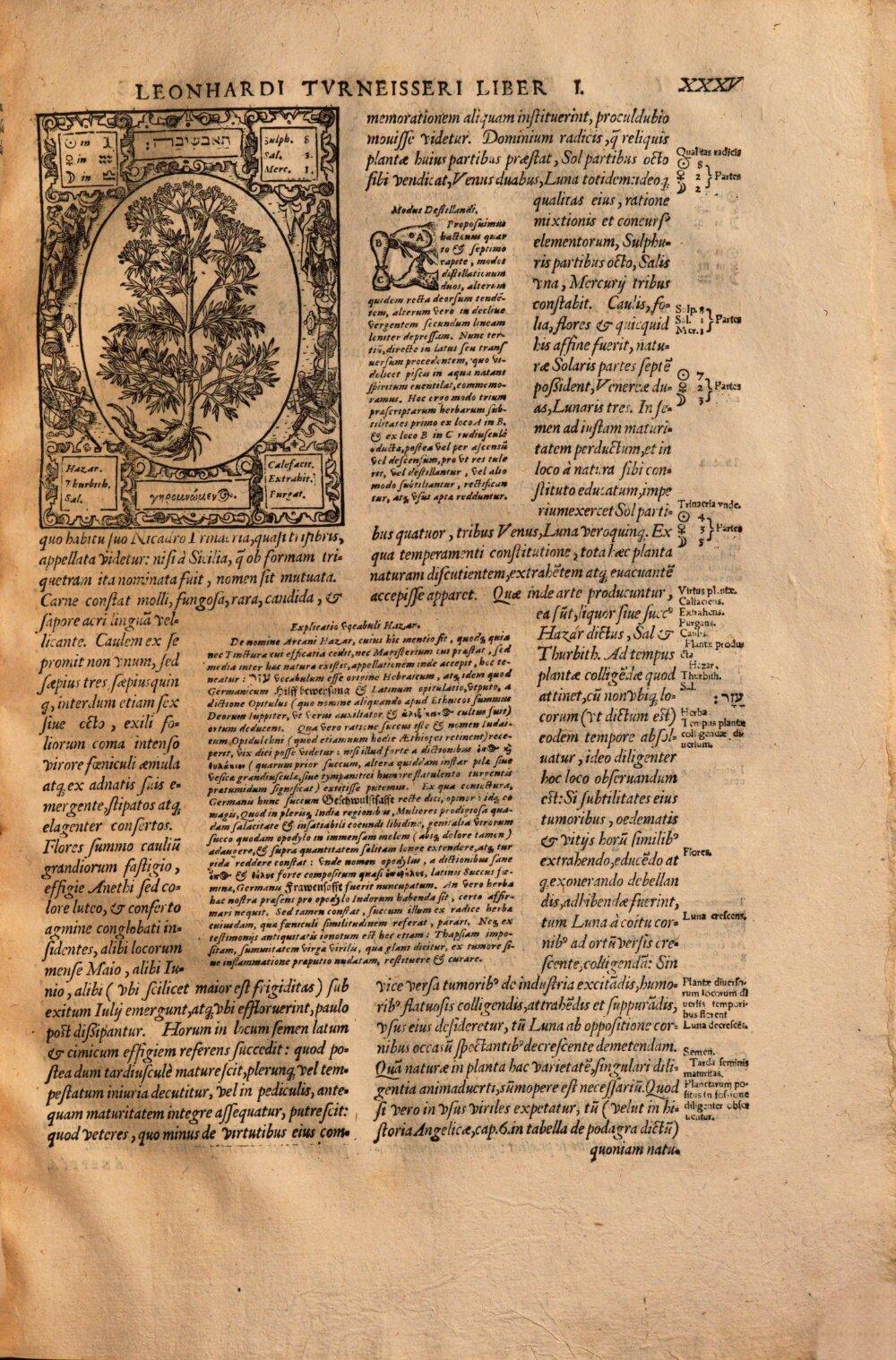 Image 00051