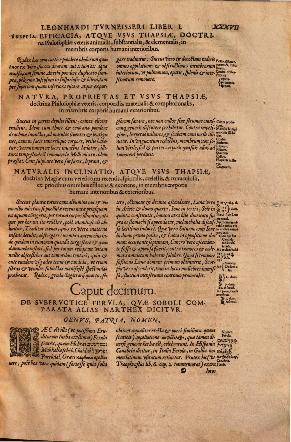 Image 00053