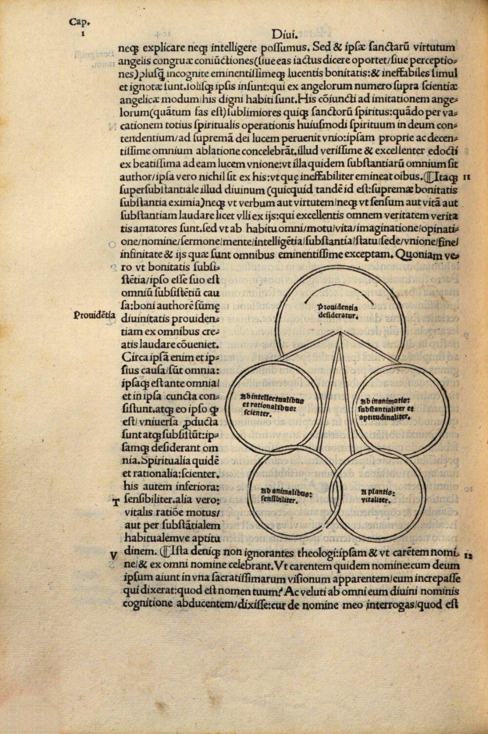 Image 00210