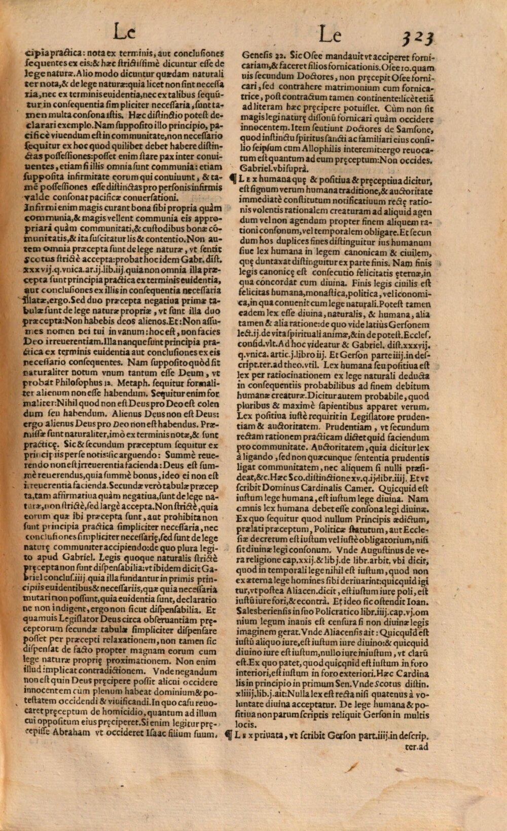 Image 00335
