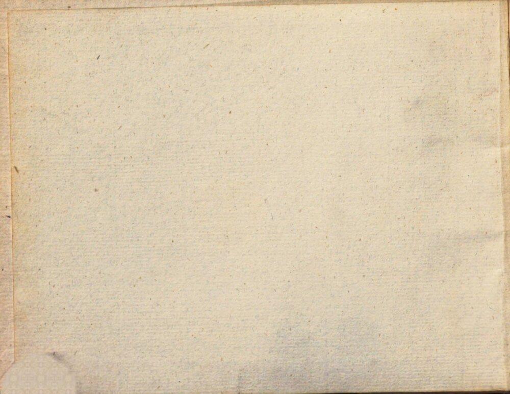 Image 00004