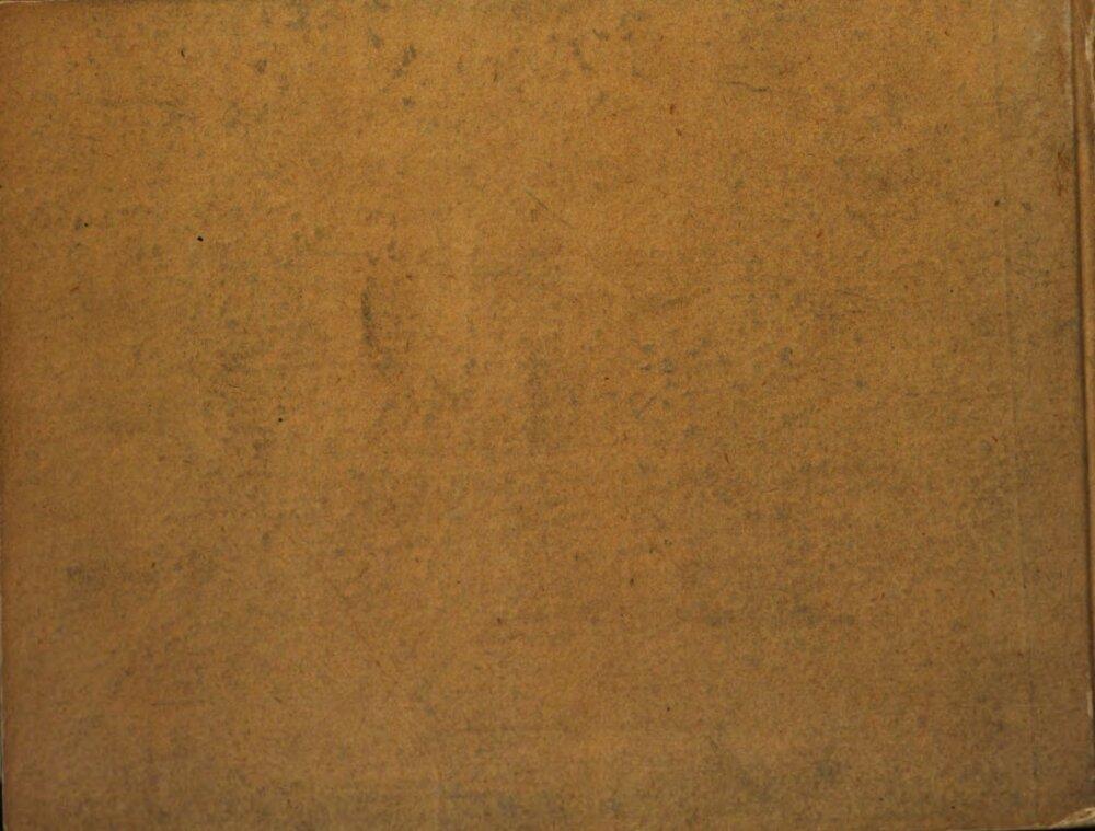 Image 00080
