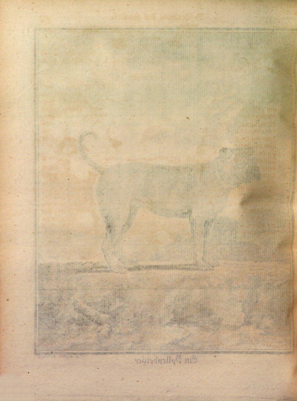 Image 00228