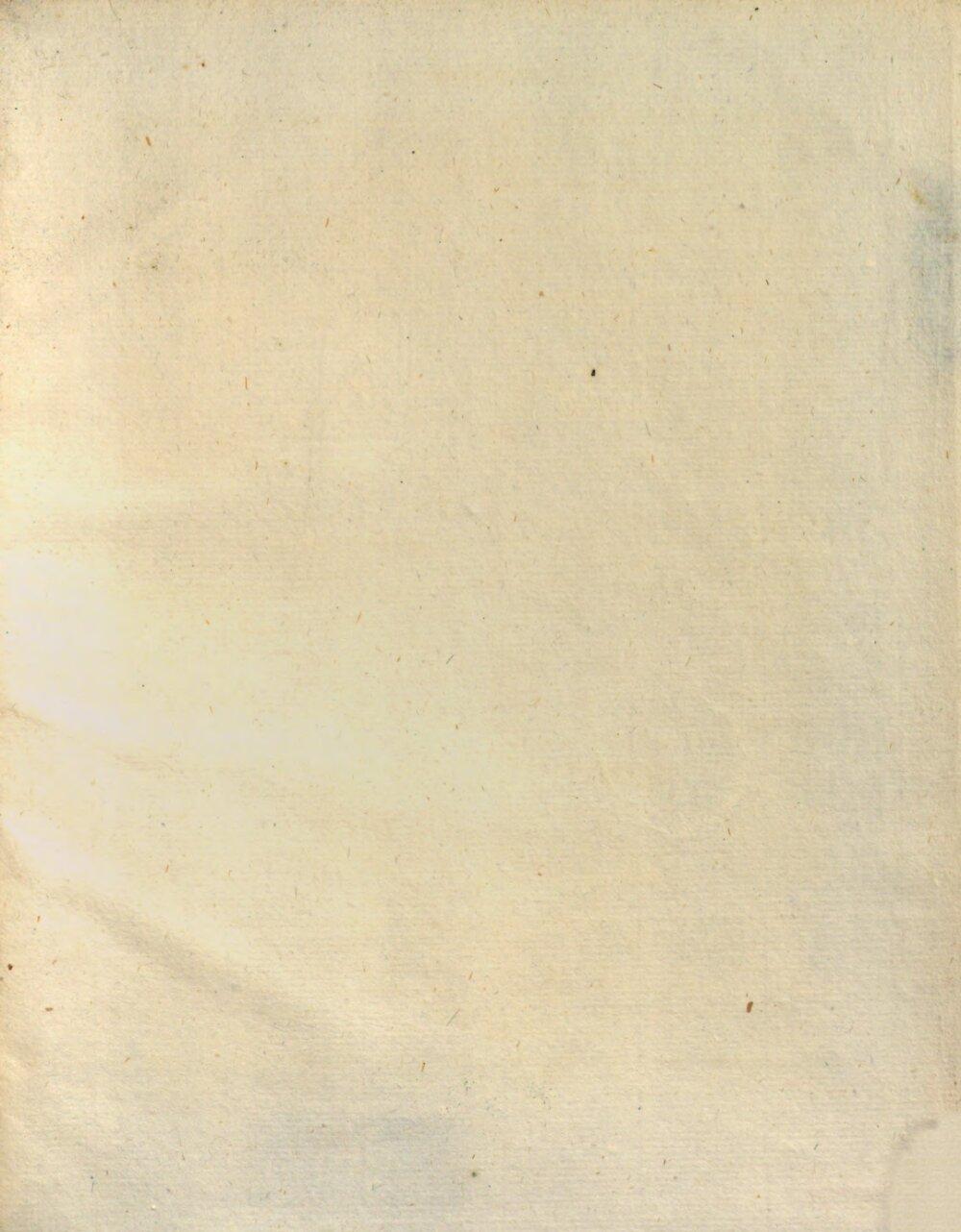 Image 00335