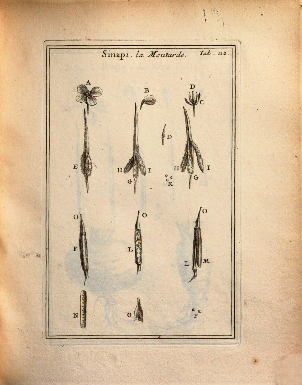 Image 00227