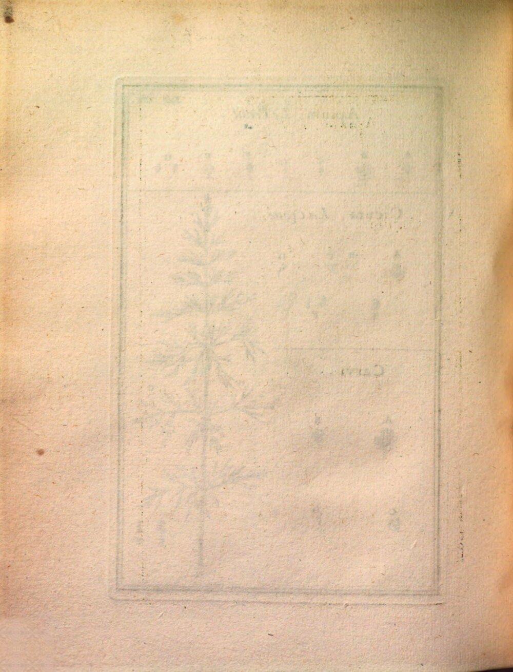 Image 00324