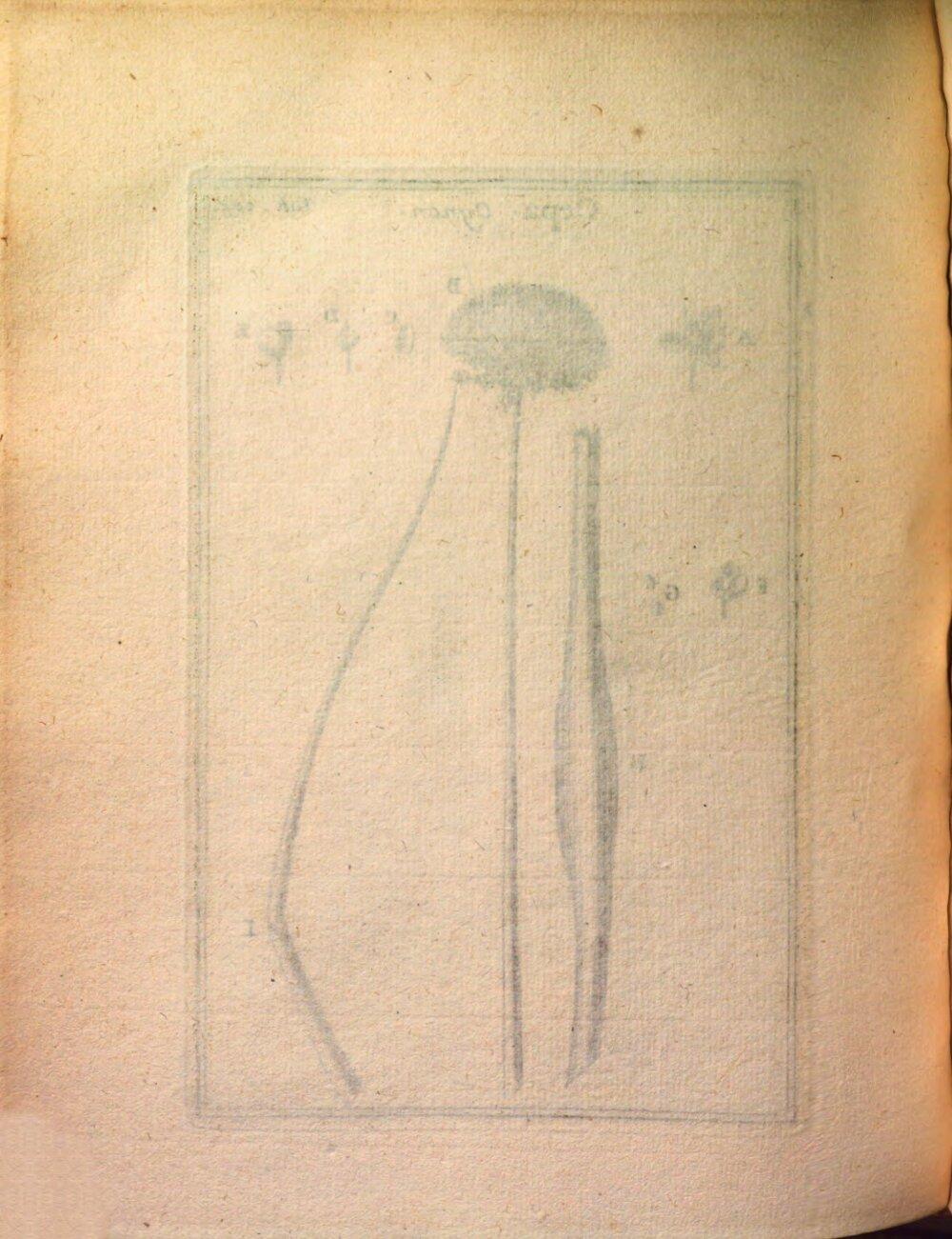 Image 00414