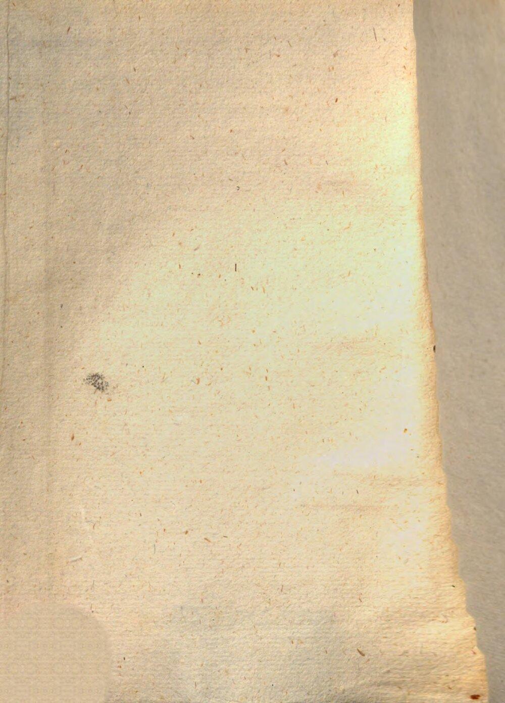 Image 00004