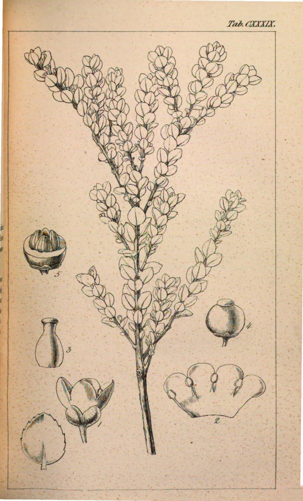 Image 00157