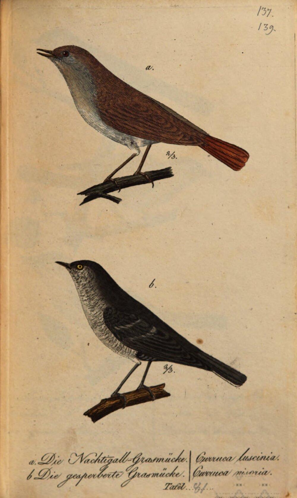 Image 00165