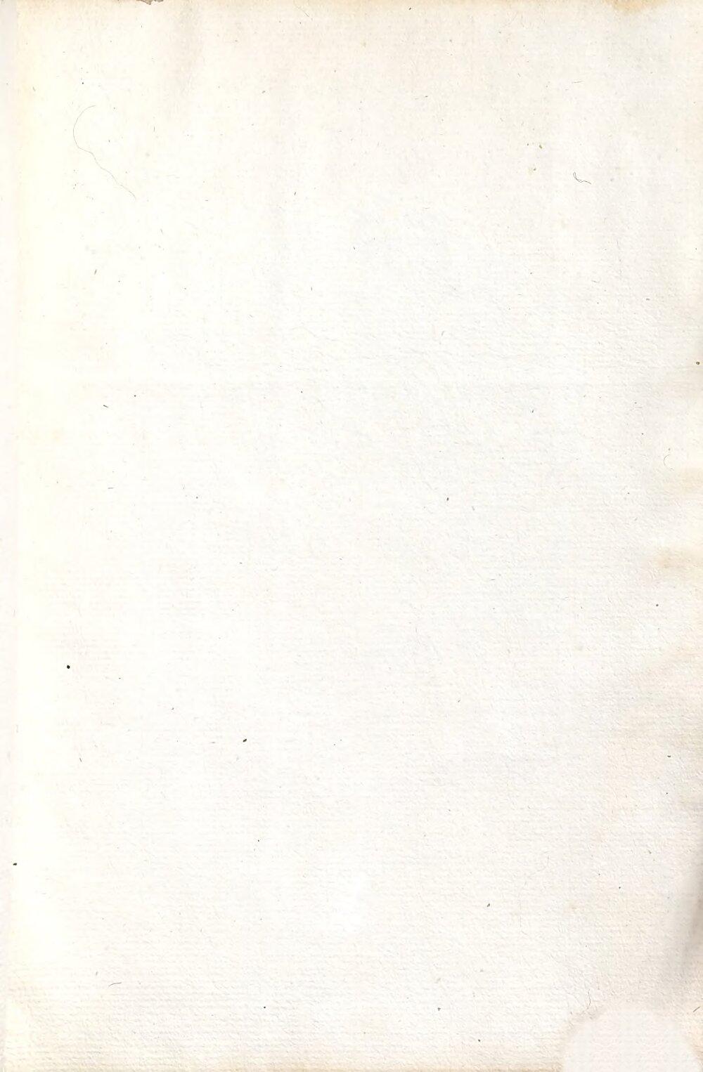 Image 00685