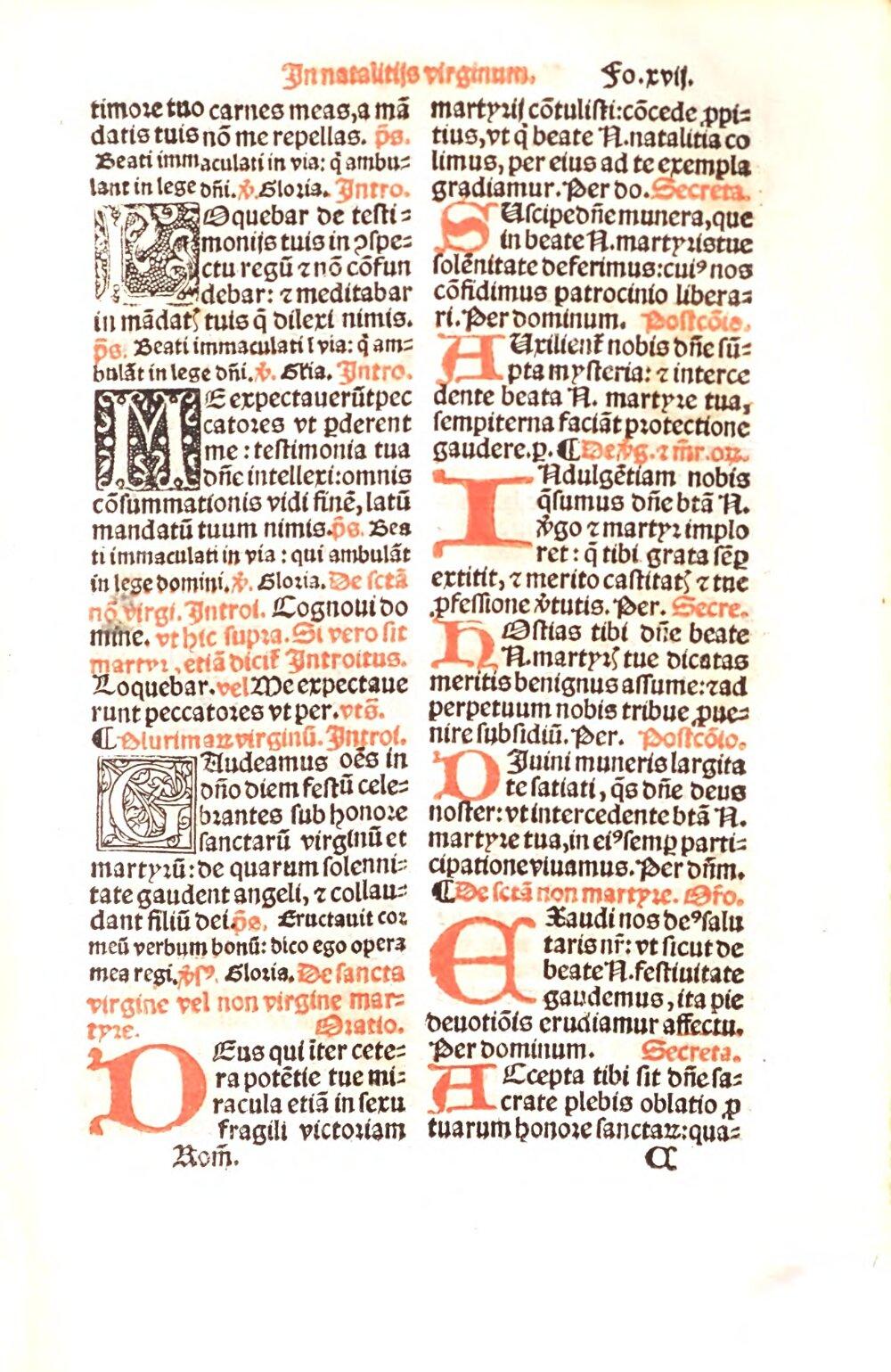 Image 00509