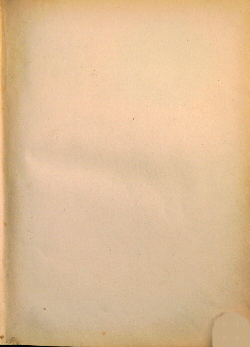 Image 00003