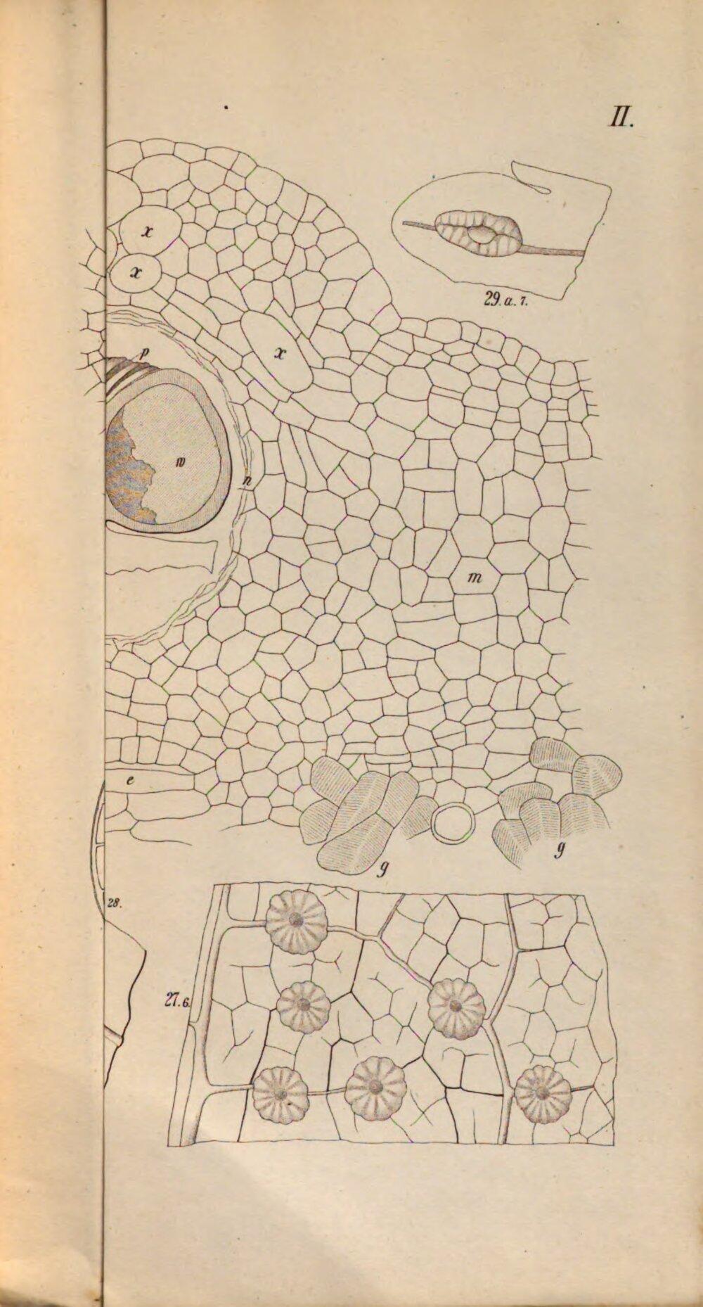 Image 00213