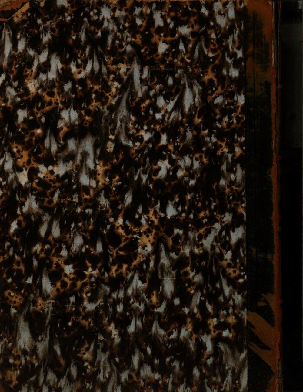 Image 00308
