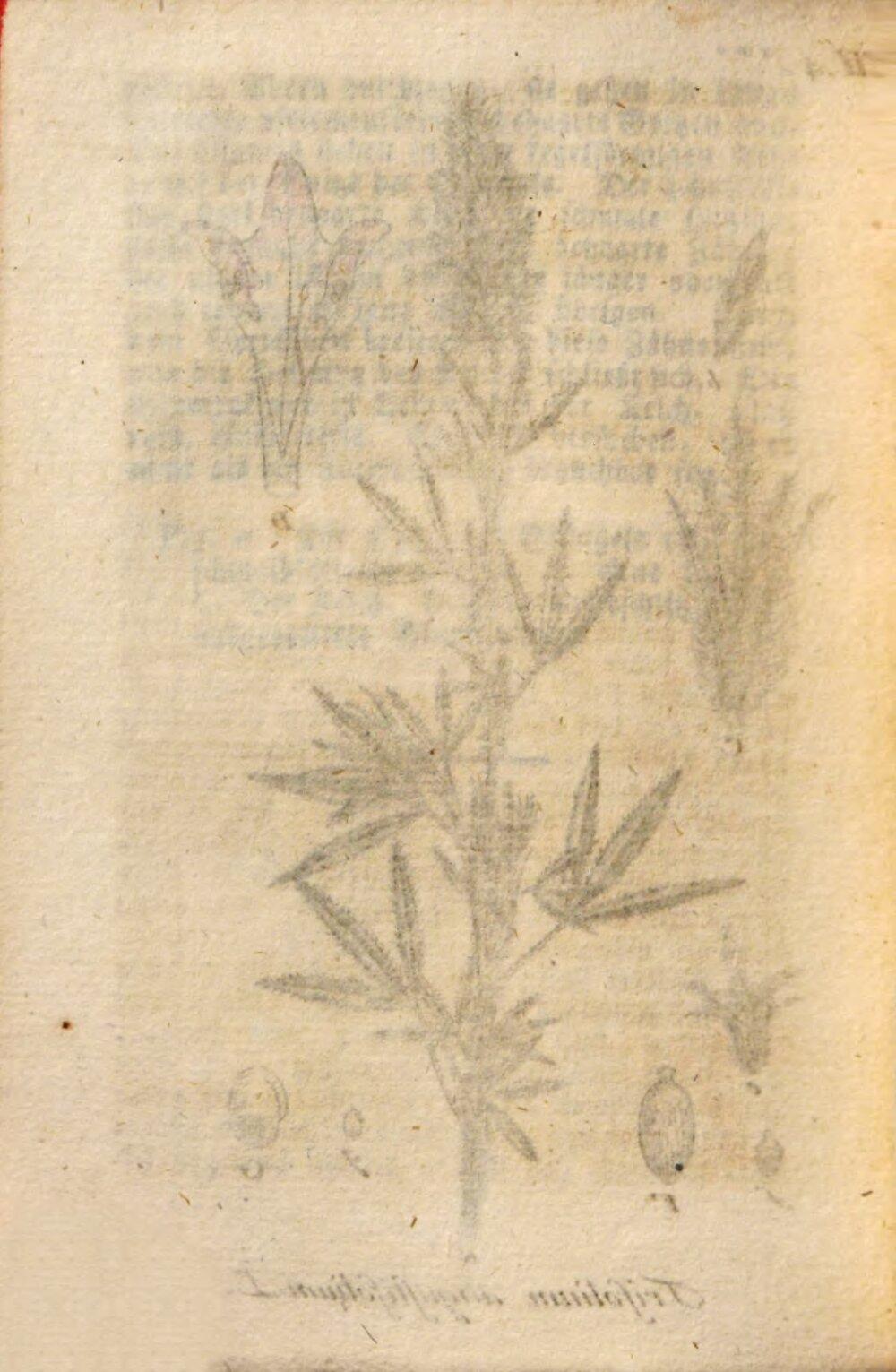 Image 00230